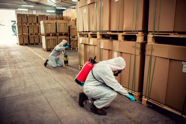 Best Mosquito Control Services  in Auburn Hills, MI