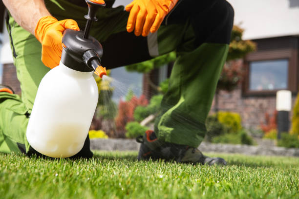 Best Commercial Pest Control Services  in Auburn Hills, MI