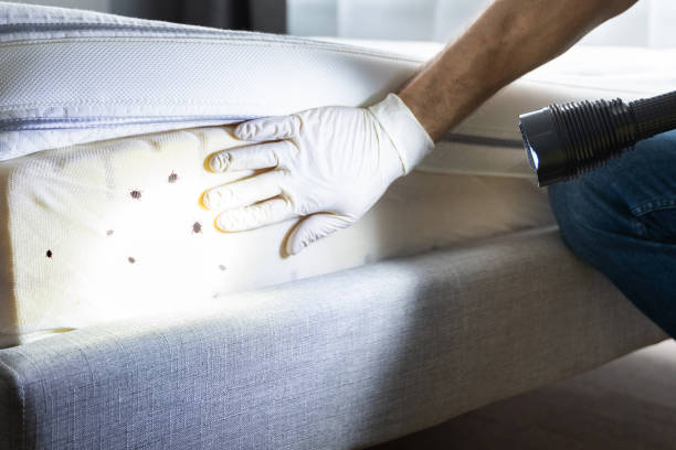 Best Best Pest Control Companies  in Auburn Hills, MI